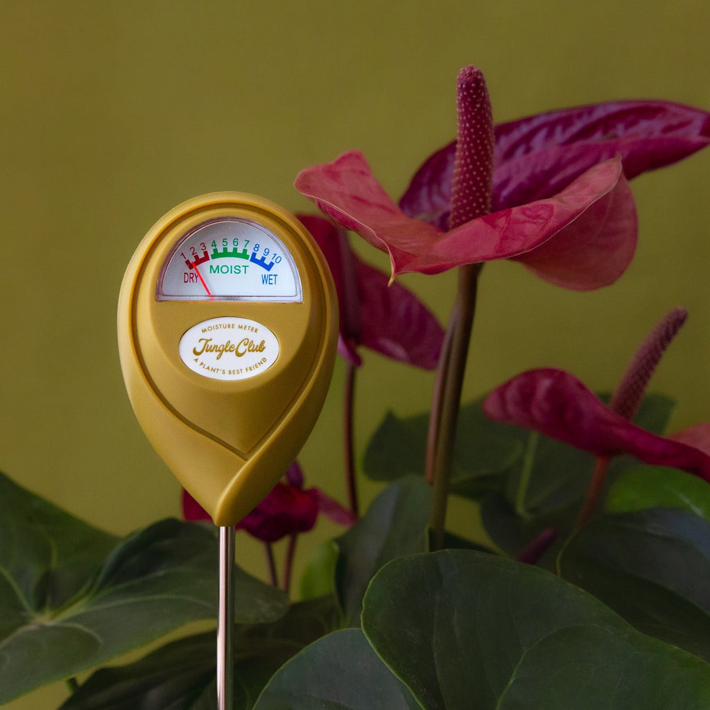 Moisture Meter | Tropical Green