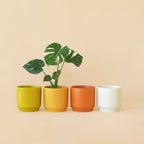 Parker Planter with Trivet | Honey Speckle