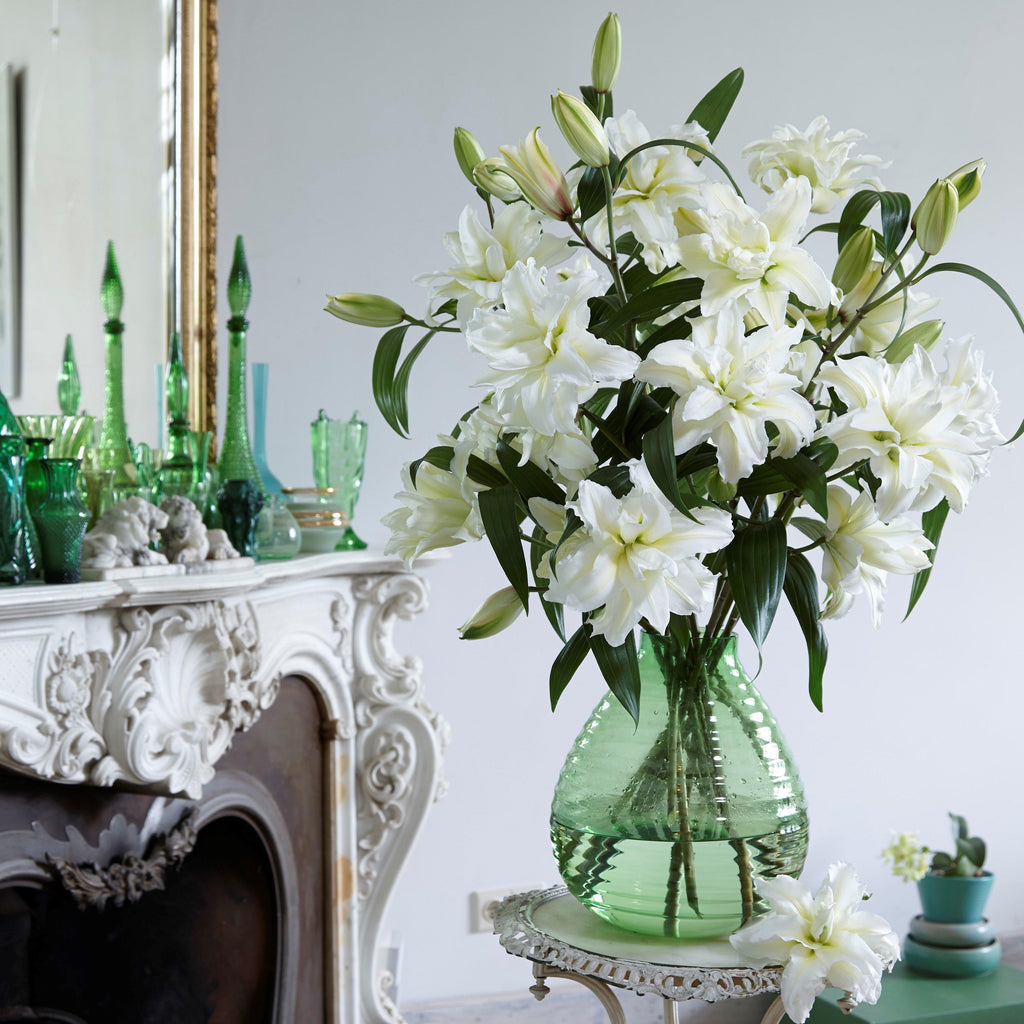 Lilium - Oriental Roselily Jisca
