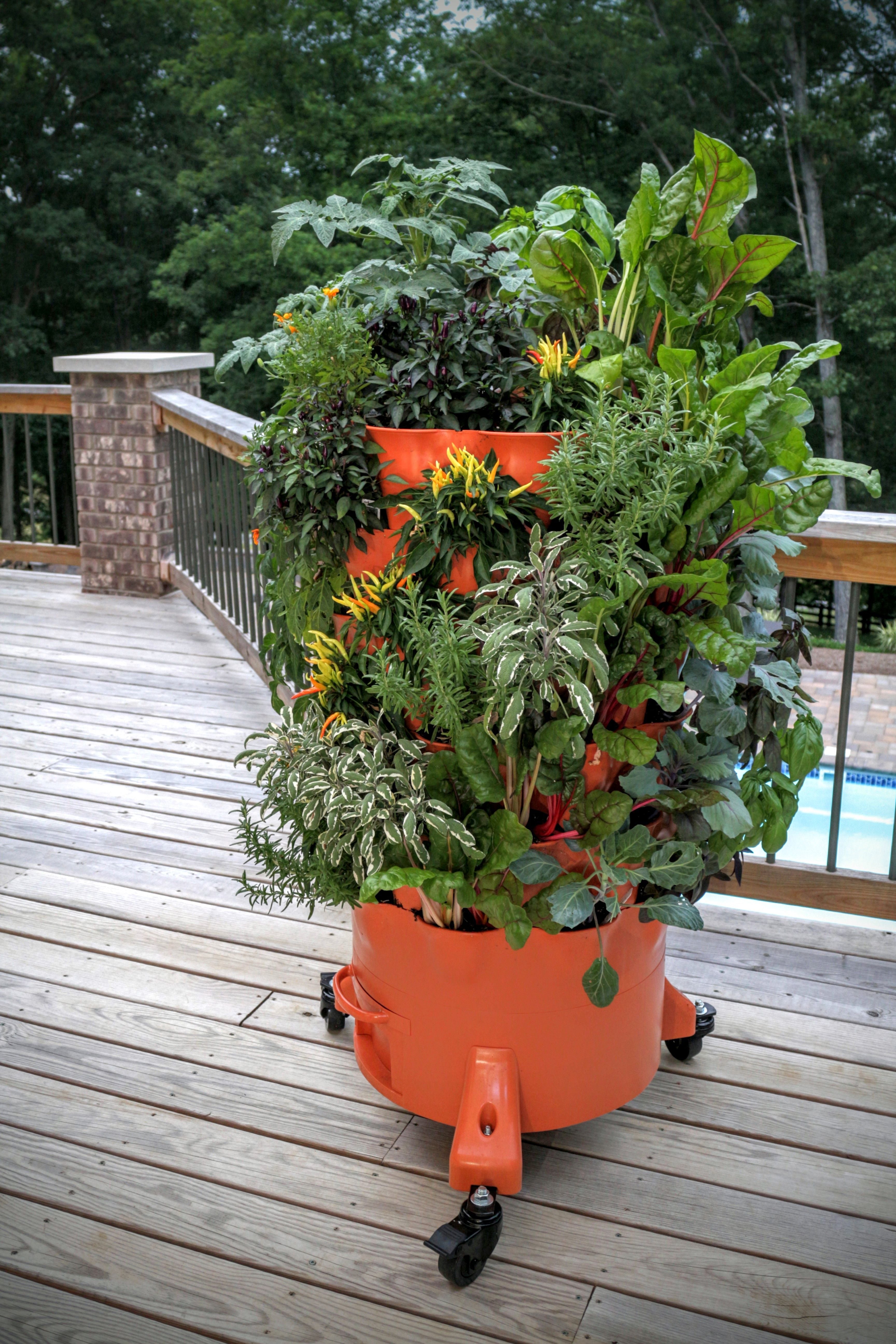 Garden Tower 2™ Move and Grow Bundle (Dropship)