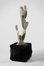 Xenova Planter from Modernized Pottery