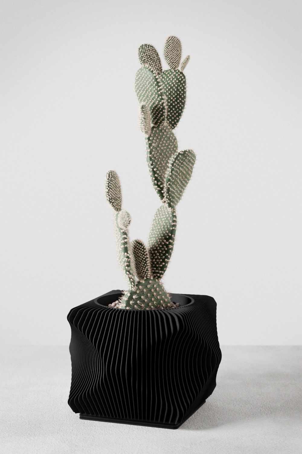Xenova Planter from Modernized Pottery
