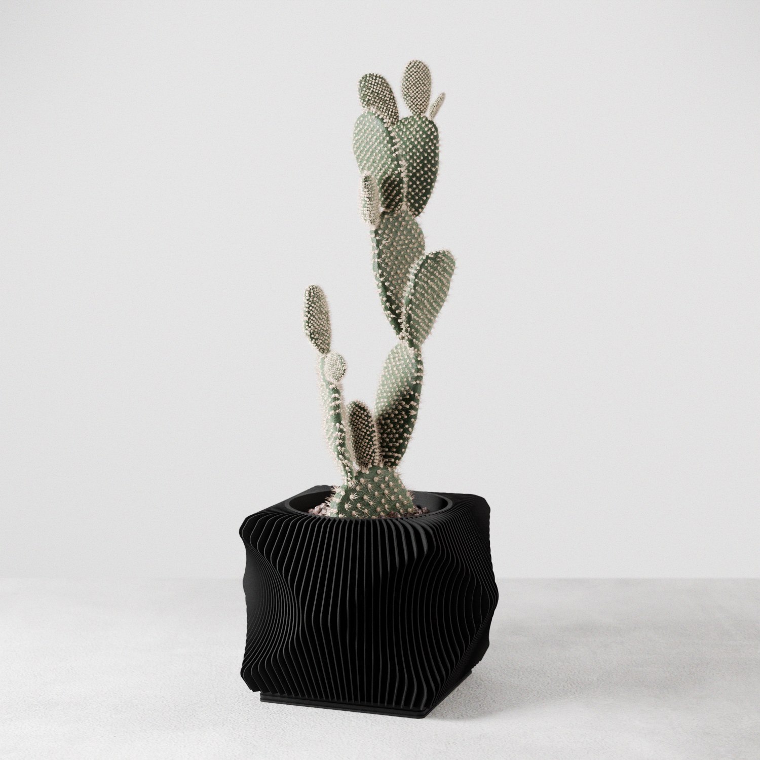 Xenova Planter from Modernized Pottery