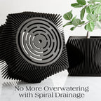 Xenova Planter from Modernized Pottery