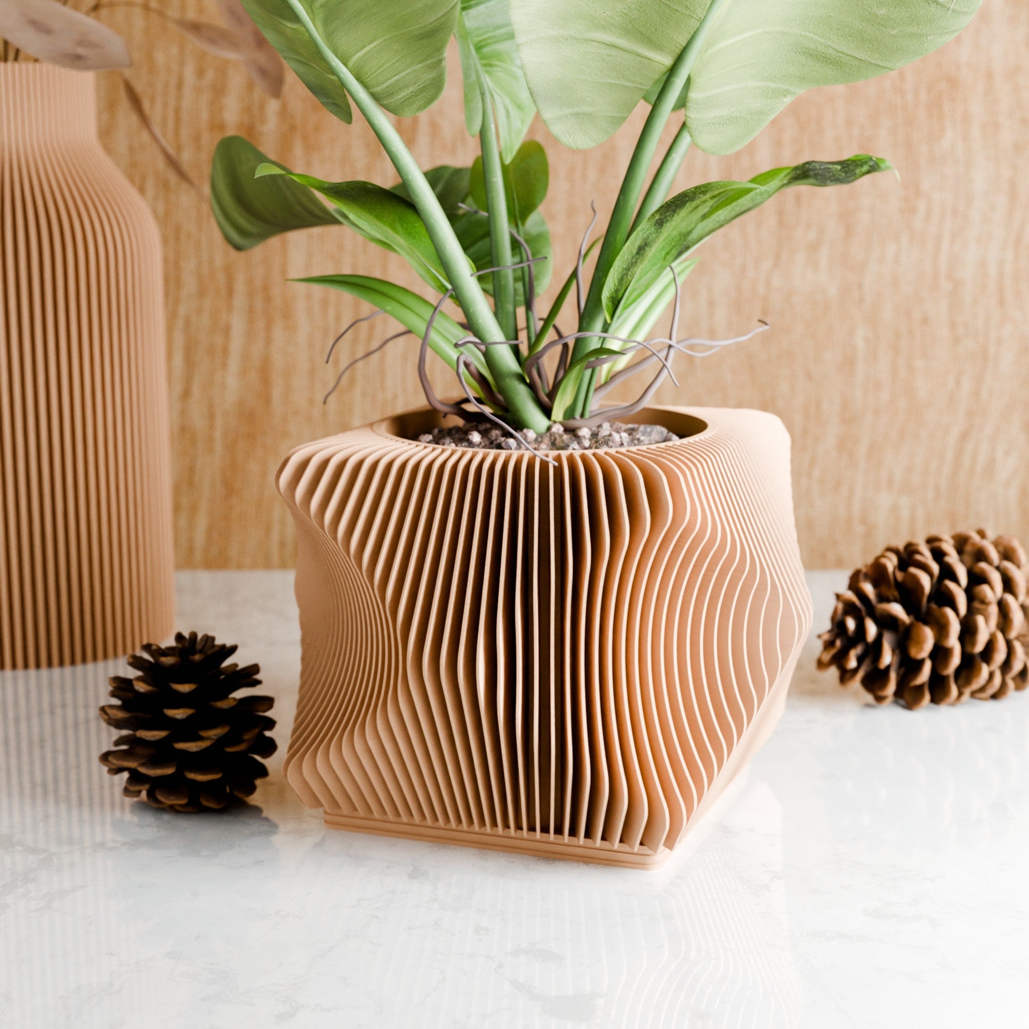 Xenova Planter from Modernized Pottery